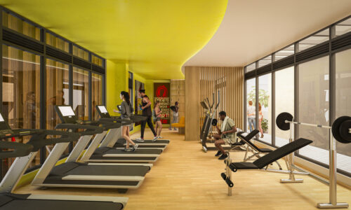 GIMNASIO (2)