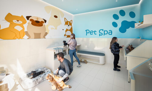 PET SPA (2)